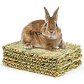 PET BEDDING