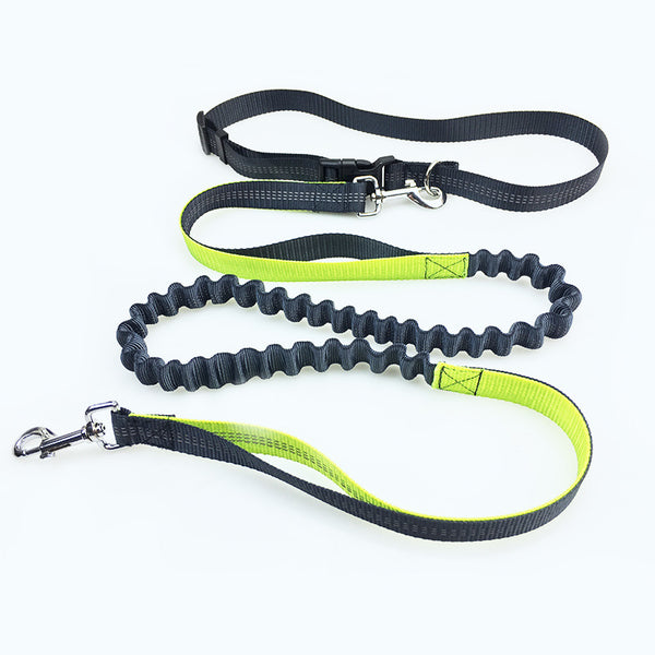 Hands-Free Dog Running Leash