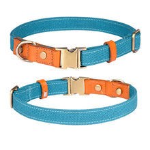 Engraved Leather Pet Collar – Custom