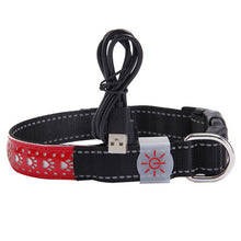 LED Glow Pet Collar – S, M, L