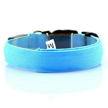 LED Light-Up Dog Collar