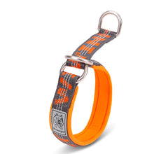 Reflective Nylon Dog Collar – All Sizes