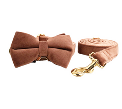 Velvet Dog Collar & Leash Set