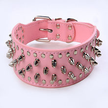 Studded Rivet Dog Collar – Large Breeds