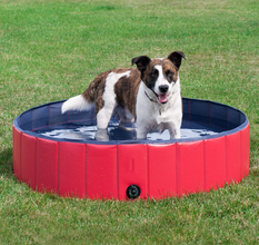 Foldable Pet Swimming Pool – PVC
