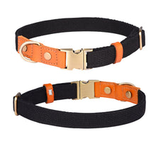 Engraved Leather Pet Collar – Custom