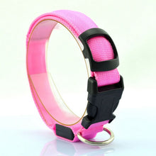 LED Light-Up Dog Collar
