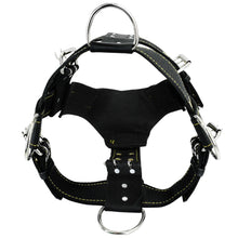 Dog Training Bite Suit