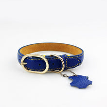 Genuine Cowhide Leather Pet Collar