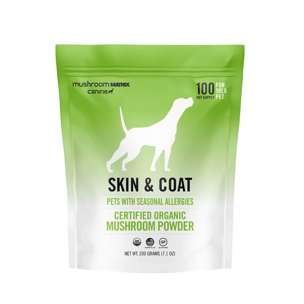 Mushroom Skin & Coat Powder – Dogs & Cats