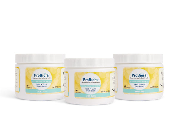 Oral Care Probiotic for Cats – 90 Servings