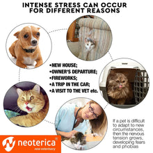 Calming Pheromone Spray for Cats – Stress Relief