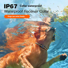 Waterproof Remote Dog Training Collar