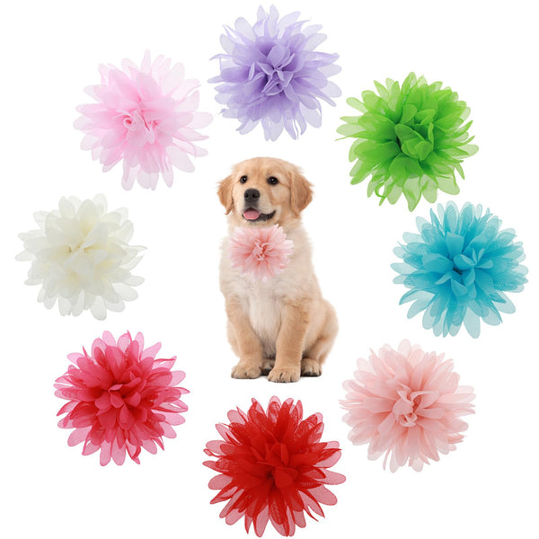 Floral Dog Collar Charms – 8 Piece Set