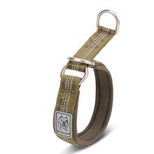Reflective Nylon Dog Collar – All Sizes