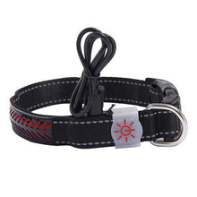 LED Glow Pet Collar – S, M, L