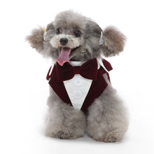 Dog Tuxedo Dress – Formal Occasions