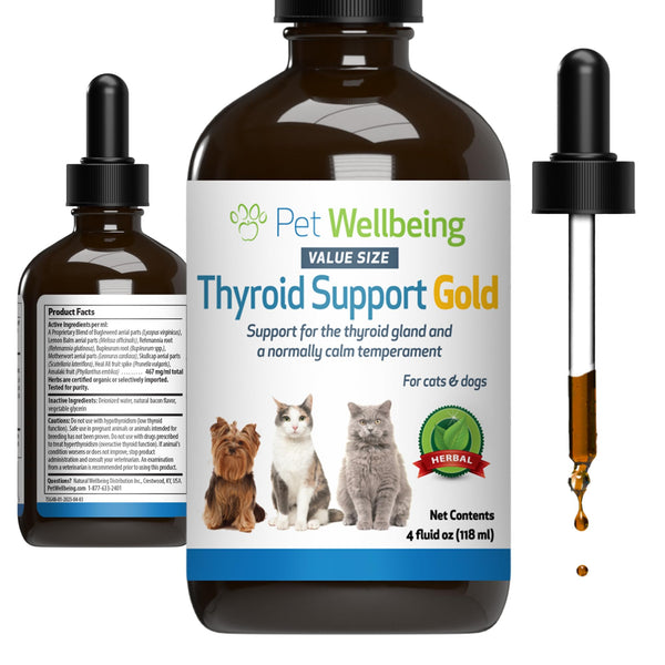 Pet Wellbeing Thyroid Support Gold for Cats - Supports Healthy Thyroid Gland Function in Cats Normal Metabolism Bugleweed Lemon Balm - Veterinarian-Formulated Herbal Supplement 4 fl oz (118 ml)