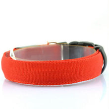 LED Light-Up Dog Collar