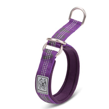 Reflective Nylon Dog Collar – All Sizes