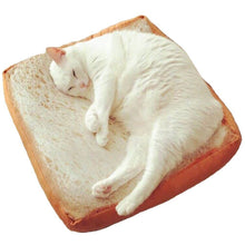 Toast Pet Cushion Bed