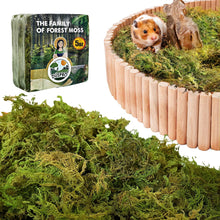 Natural Forest Moss Hamster Bedding – 5 oz