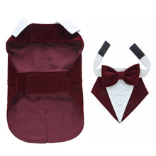 Dog Tuxedo Dress – Formal Occasions