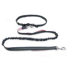 Hands-Free Dog Running Leash
