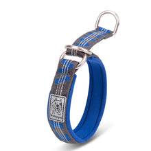 Reflective Nylon Dog Collar – All Sizes