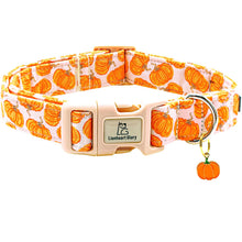 Pumpkin Pink Halloween Dog Collar – Adjustable