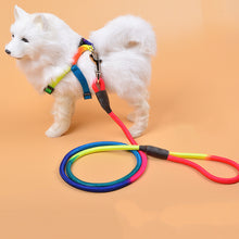 Colorful Nylon Round Dog Leash