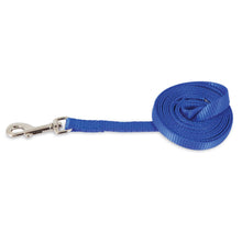 Aspen Pet Standard Dog Leash