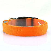 LED Light-Up Dog Collar