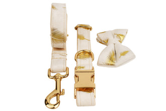 Velvet Collar & Leash Combo Set