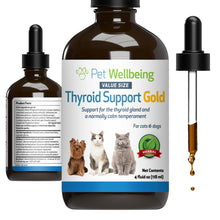 Pet Wellbeing Thyroid Support Gold for Cats - Supports Healthy Thyroid Gland Function in Cats Normal Metabolism Bugleweed Lemon Balm - Veterinarian-Formulated Herbal Supplement 4 fl oz (118 ml)