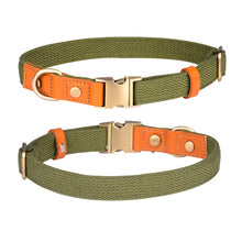 Engraved Leather Pet Collar – Custom