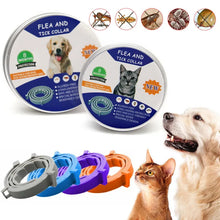 Anti-Flea Pet Collar – Cats & Dogs
