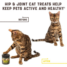 Glucosamine Joint Chews for Cats