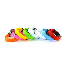 LED Light-Up Dog Collar