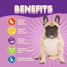Extra Strength Probiotics for Dogs – 5 Billion CFU