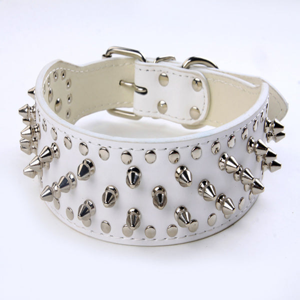 Studded Rivet Dog Collar – Large Breeds