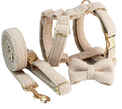 Minimalist Cream Pet Collar & Harness