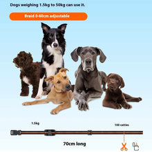 Waterproof Remote Dog Training Collar