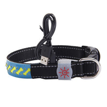 LED Glow Pet Collar – S, M, L