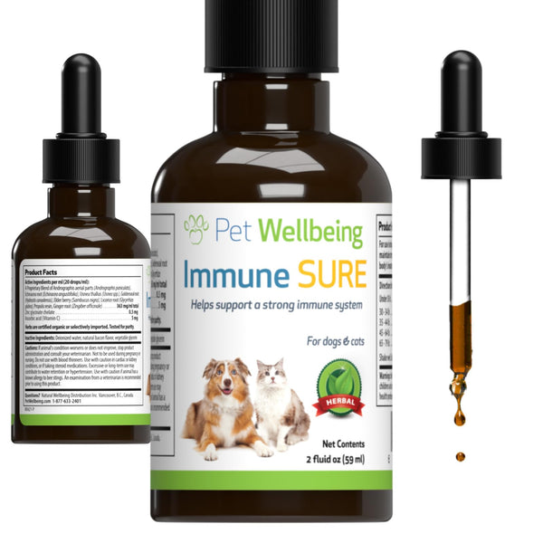 Immune Sure Herbal Supplement for Dogs