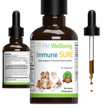 Immune Sure Herbal Supplement for Dogs