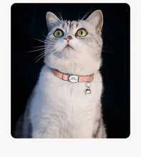 Engraved Leather Collar with Bell