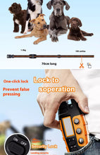 Waterproof Remote Dog Training Collar
