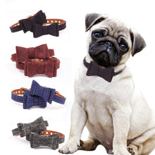British Bow Pet Collar – Classic Style