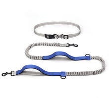 Outdoor Running Dog Leash – Foam Grip